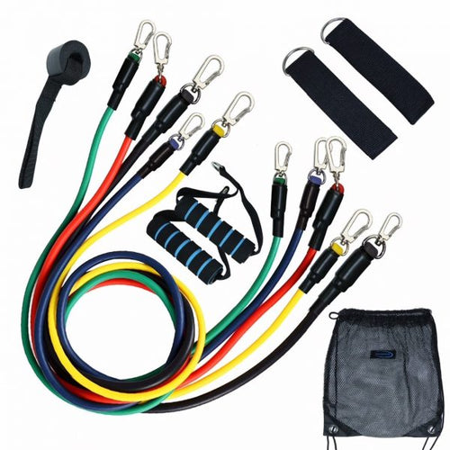 resistance band set with carrying bag, adjustable bands, and additional accessories.